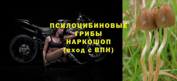 МДПВ Богданович