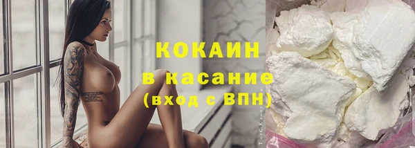 твердый Богородицк