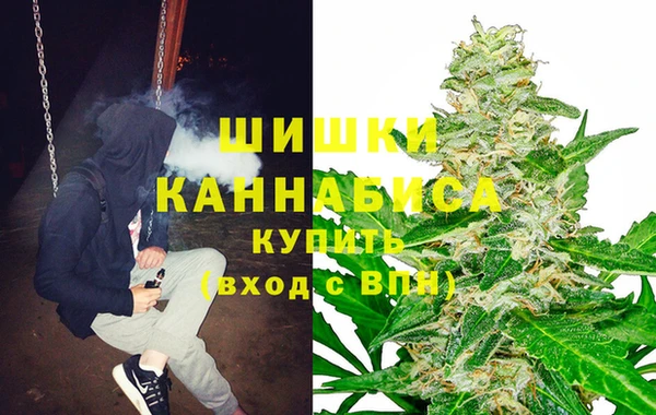 твердый Богородицк