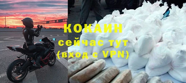 твердый Богородицк